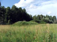 Курганный могильник на лесной озёрной террасе в Болотнинском районе